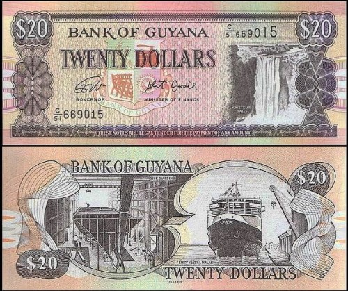 GujanaP30g.jpg