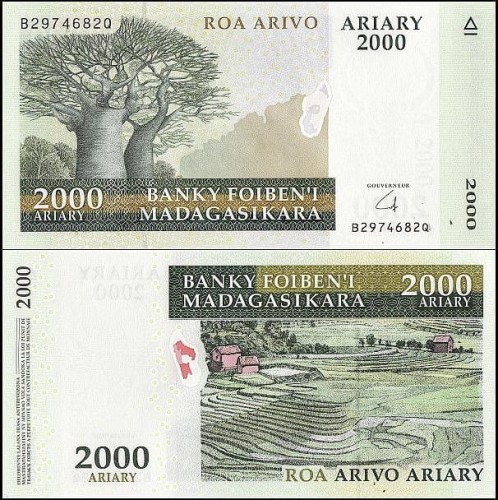 MadagaskarP96.jpg