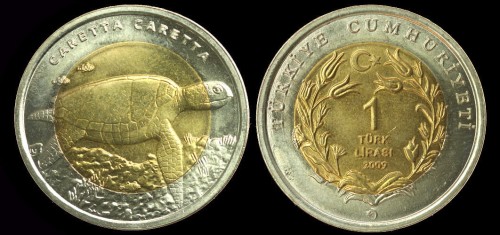 Turcja 1 lira 2009 km 1264.jpeg