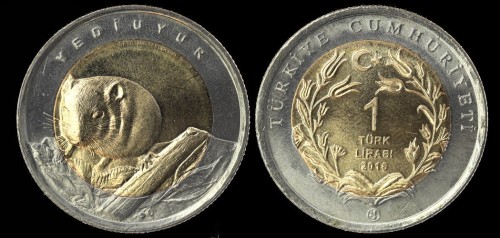 Turcja 1 lira 2016 alaktaga.jpeg