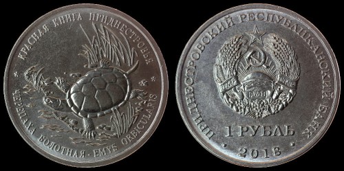 republika nadniestrzańska 1 rubel 2018 żółw.jpeg