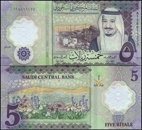 ArabiaSaudPw46.2024.jpg