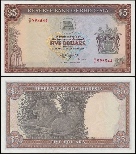RodezjaP40.stan3.jpg